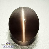 Sillimanite Cat's Eye 3.38ct Rare Gemstone