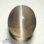 Sillimanite Cat's Eye 2.37ct Rare Gemstone