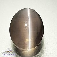 Sillimanite Cat's Eye 3.32ct Rare Gemstone