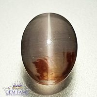 Sillimanite Cat's Eye 2.51ct Rare Gemstone