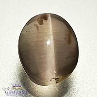 Sillimanite Cat's Eye 2.18ct Rare Gemstone