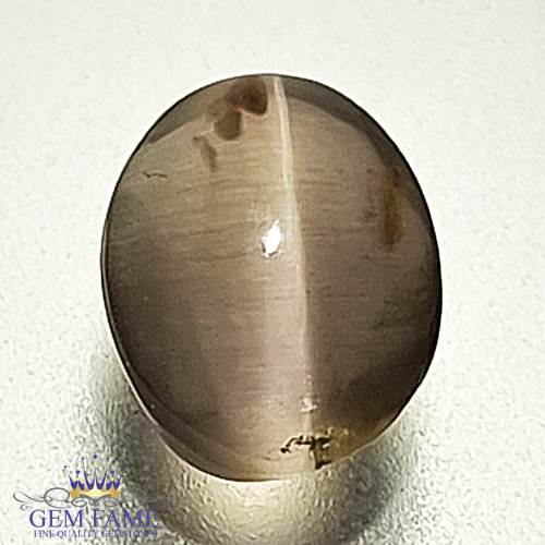 Sillimanite Cat's Eye 2.18ct Rare Gemstone