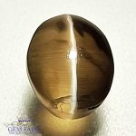 Sillimanite Cat's Eye 2.08ct Rare Gemstone