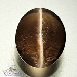 Sillimanite Cat's Eye 2.31ct Rare Gemstone