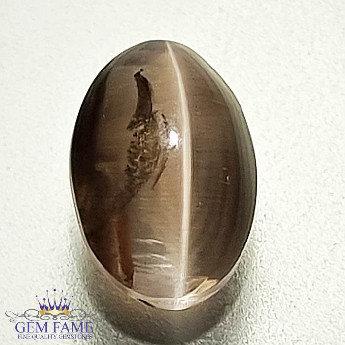 Sillimanite Cat's Eye 2.31ct Rare Gemstone
