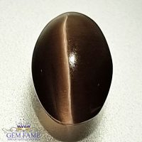 Sillimanite Cat's Eye 1.87ct Rare Gemstone