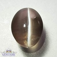 Sillimanite Cat's Eye Gemstone