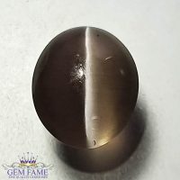 Sillimanite Cat's Eye Gemstone