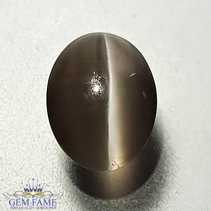 Sillimanite Cat's Eye Gemstone