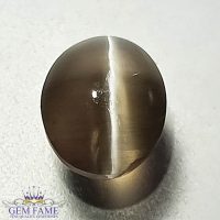 Sillimanite Cat's Eye Gemstone