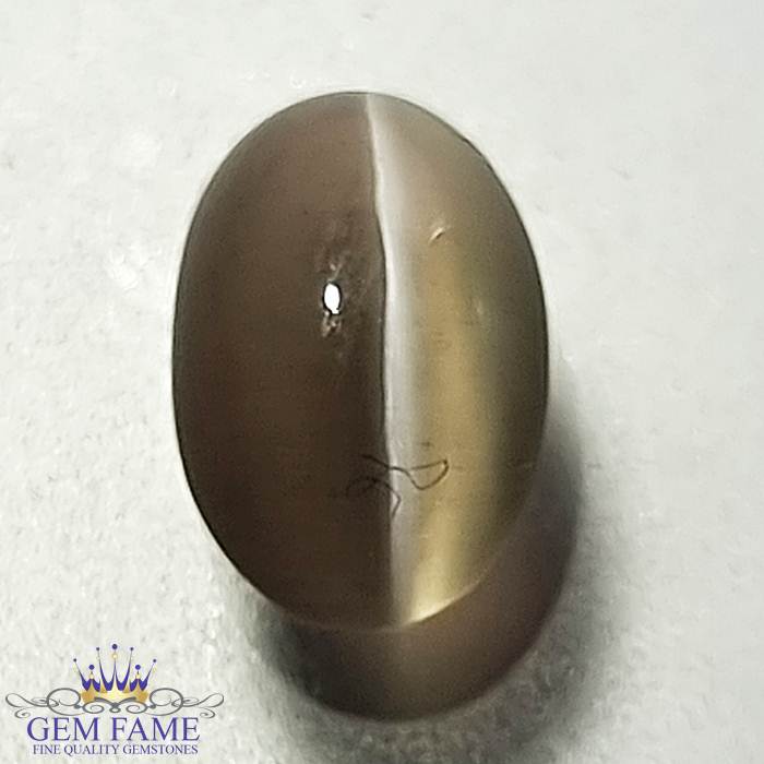 Sillimanite Cat's Eye Gemstone