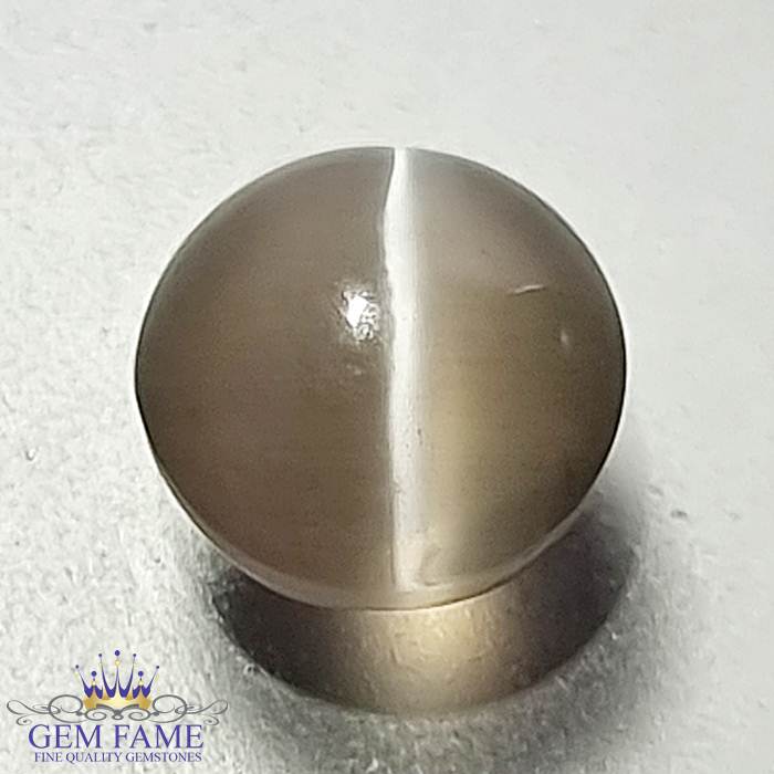 Sillimanite Cat's Eye Gemstone