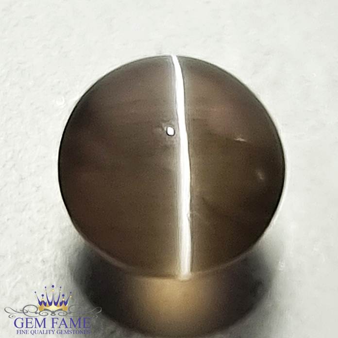 Sillimanite Cat's Eye Gemstone