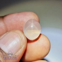 Star Rose Quartz 13.92ct Gemstone India