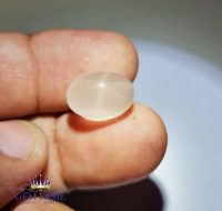 Star Rose Quartz 12.47ct Gemstone India