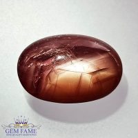 Star Ruby (Surya Kant Manik) Gemstone