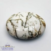 Tree Agate Gemstone