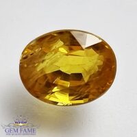 Yellow Sapphire 2.67ct Natural Gemstone Thailand