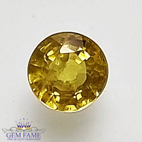 Yellow Sapphire 0.68ct Gemstone Thailand