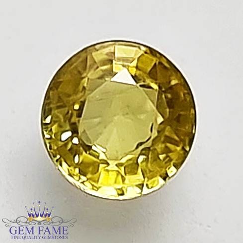 Yellow Sapphire 0.59ct Gemstone Thailand