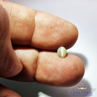 Chrysoberyl Cats Eye Gemstone