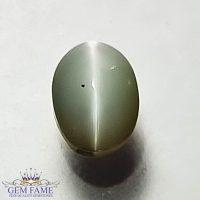 Chrysoberyl Cat's Eye Gemstone