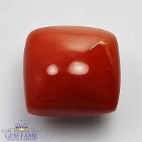 Coral (Moonga) Gemstone