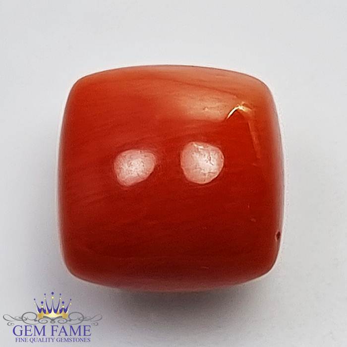 Coral (Moonga) Gemstone