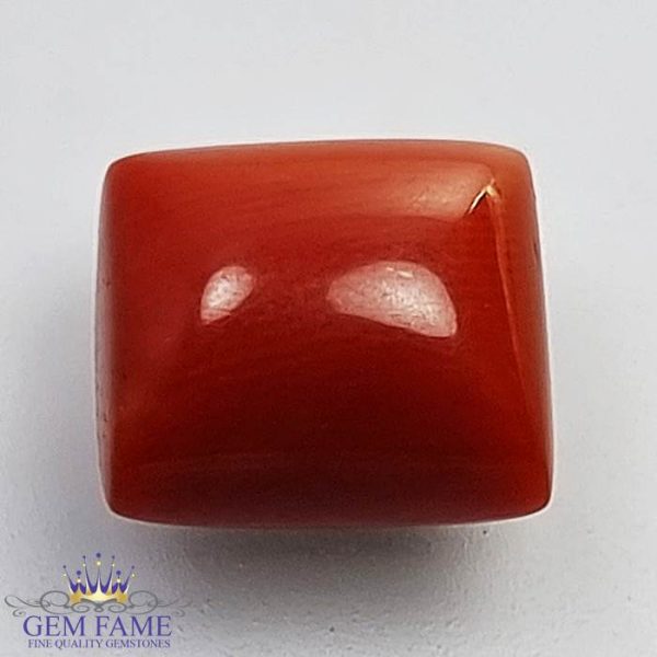 Coral (Moonga) Gemstone