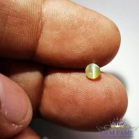 Chrysoberyl Cat's Eye Gemstone