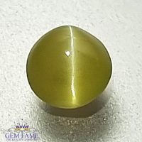 Chrysoberyl Cat's Eye Gemstone