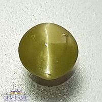 Chrysoberyl Cat's Eye Gemstone