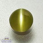 Chrysoberyl Cat's Eye Gemstone