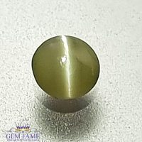 Chrysoberyl Cat's Eye Gemstone