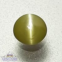 Chrysoberyl Cat's Eye Gemstone