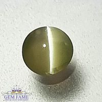 Chrysoberyl Cat's Eye Gemstone