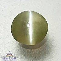 Chrysoberyl Cat's Eye Gemstone