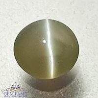 Chrysoberyl Cat's Eye Gemstone