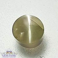 Chrysoberyl Cat's Eye Gemstone