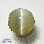 Chrysoberyl Cat's Eye Gemstone