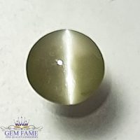 Chrysoberyl Cat's Eye Gemstone