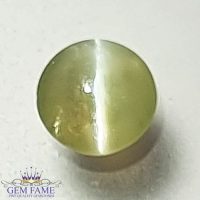 Chrysoberyl Cat's Eye Gemstone 0.69ct