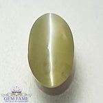 Chrysoberyl Cat's Eye Gemstone