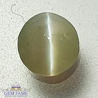 Chrysoberyl Cat's Eye Gemstone