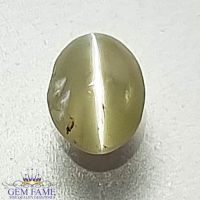 Chrysoberyl Cat's Eye Gemstone