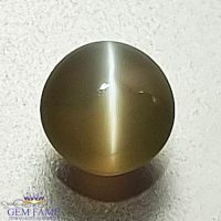 Chrysoberyl Cat's Eye Gemstone