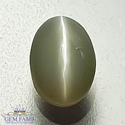 Chrysoberyl Cat's Eye Gemstone