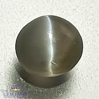 Chrysoberyl Cat's Eye Gemstone