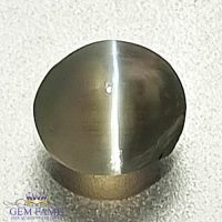 Chrysoberyl Cat's Eye Gemstone