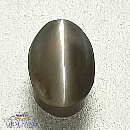 Chrysoberyl Cat's Eye Gemstone